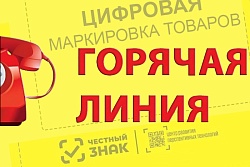 Роспотребнадзор проводит «горячую линию» по вопросам маркировки товаров